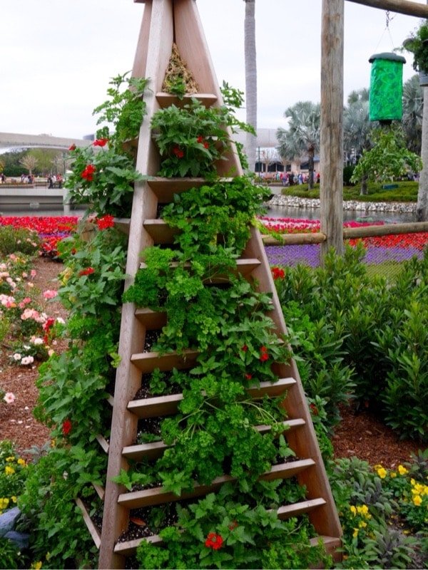 Coconut Tres Leches Cake // Epcot Flower & Garden Festival