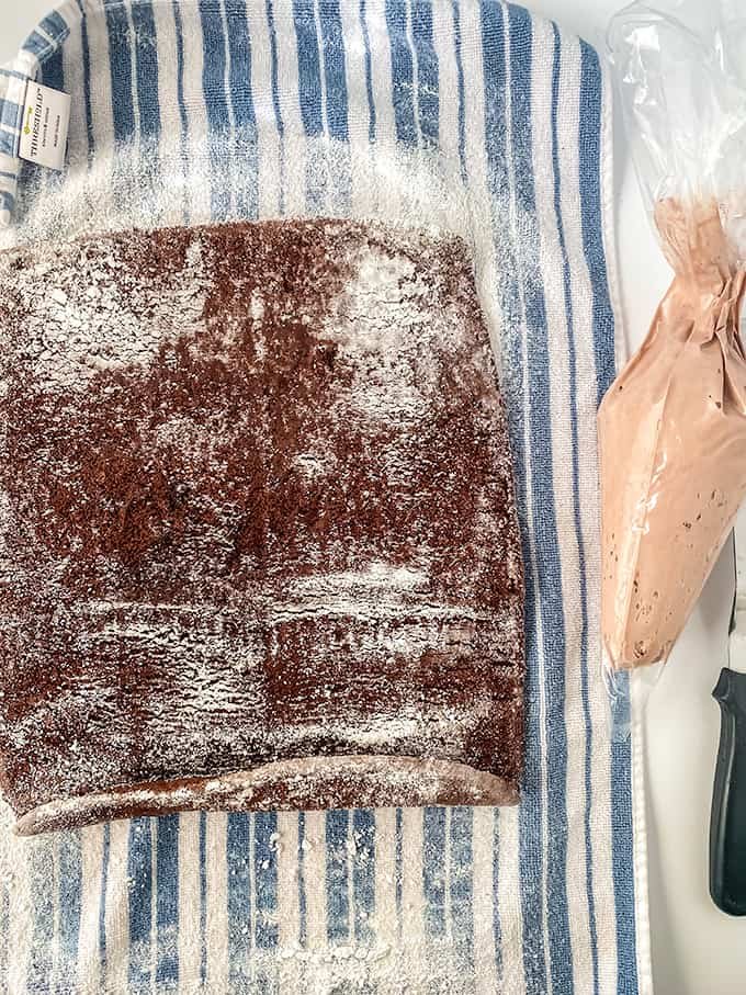 Yule Log Cake (Bûche de Noël)